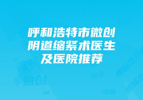 呼和浩特市微创阴道缩紧术医生及医院推荐