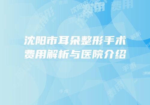 沈阳市耳朵整形手术费用解析与医院介绍