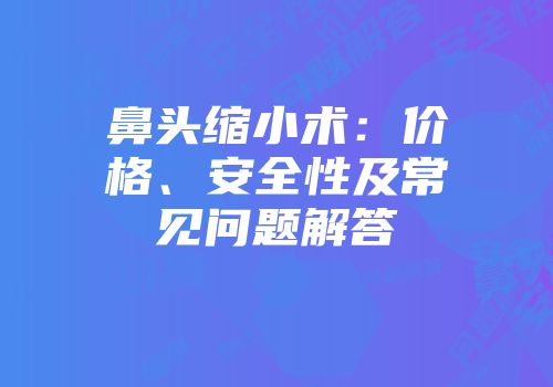 鼻头缩小术：价格、安全性及常见问题解答