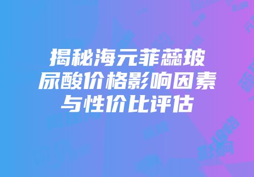 揭秘海元菲蕊玻尿酸价格影响因素与性价比评估
