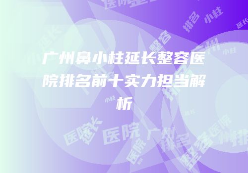 广州鼻小柱延长整容医院排名前十实力担当解析