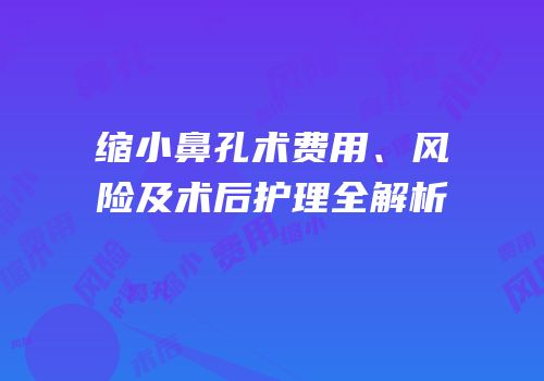 缩小鼻孔术费用、风险及术后护理全解析