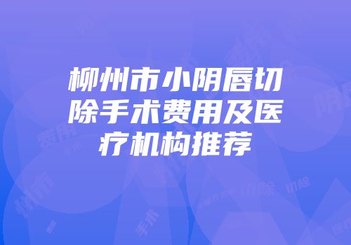 柳州市小阴唇切除手术费用及医疗机构推荐