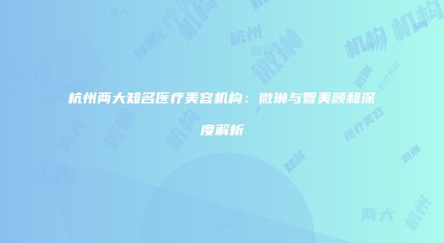 杭州两大知名医疗美容机构：微琳与智美颜和深度解析
