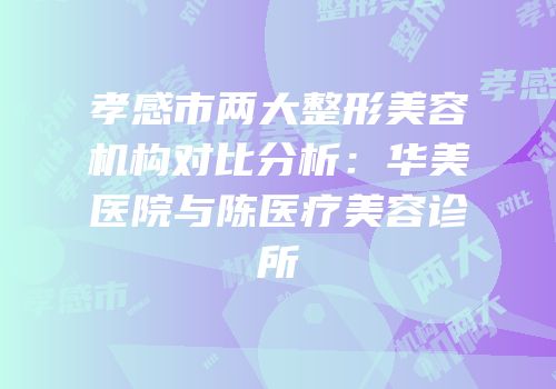 孝感市两大整形美容机构对比分析：华美医院与陈医疗美容诊所