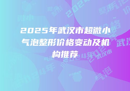2025年武汉市超微小气泡整形价格变动及机构推荐