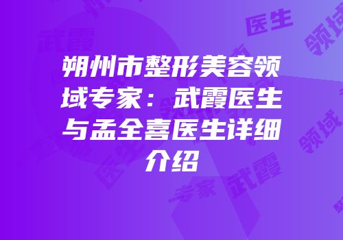 朔州市整形美容领域专家：武霞医生与孟全喜医生详细介绍