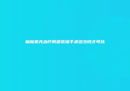 榆林激光治疗阴道紧缩手术多少钱才可以