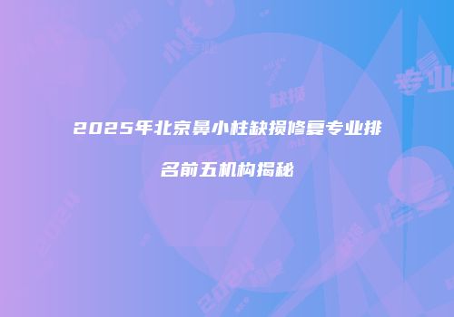 2025年北京鼻小柱缺损修复专业排名前五机构揭秘
