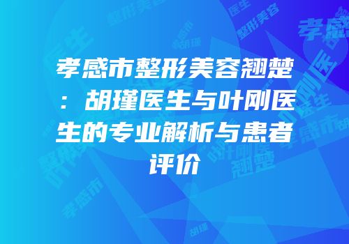 孝感市整形美容翘楚：胡瑾医生与叶刚医生的专业解析与患者评价