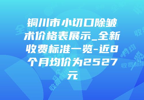 铜川市小切口除皱术价格表展示_全新收费标准一览-近8个月均价为2527元