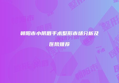 朝阳市小阴唇手术整形市场分析及医院推荐
