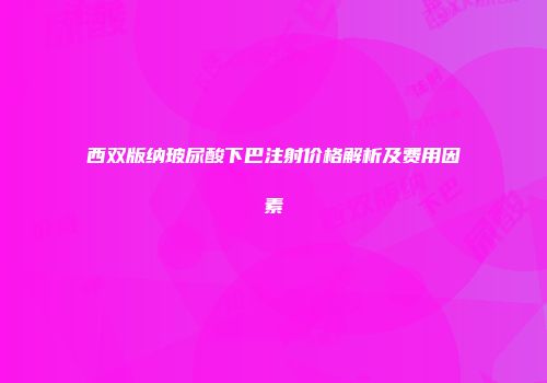 西双版纳玻尿酸下巴注射价格解析及费用因素
