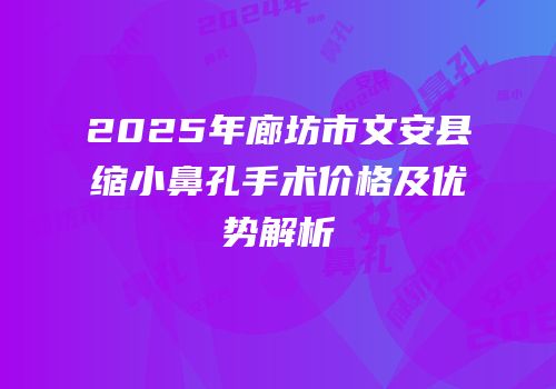 2025年廊坊市文安县缩小鼻孔手术价格及优势解析