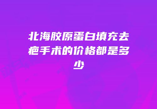 北海胶原蛋白填充去疤手术的价格都是多少