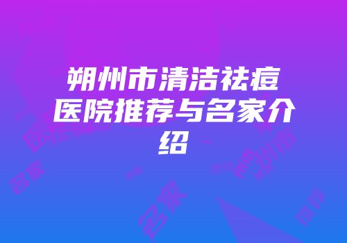 朔州市清洁祛痘医院推荐与名家介绍