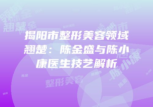揭阳市整形美容领域翘楚：陈金盛与陈小康医生技艺解析