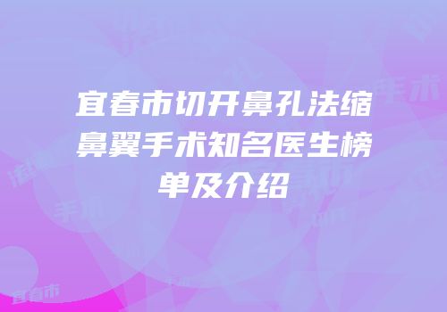 宜春市切开鼻孔法缩鼻翼手术知名医生榜单及介绍