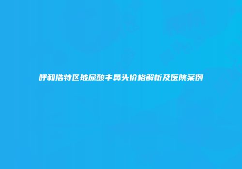 呼和浩特区玻尿酸丰鼻头价格解析及医院案例