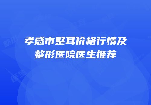 孝感市整耳价格行情及整形医院医生推荐