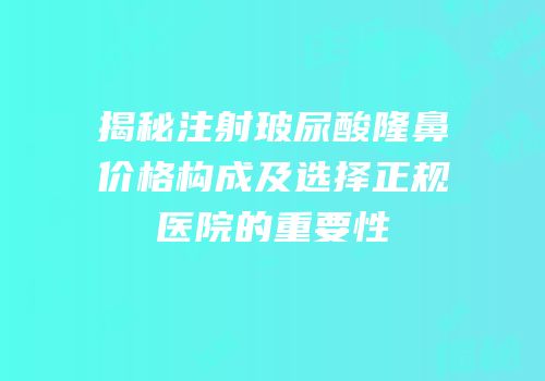 揭秘注射玻尿酸隆鼻价格构成及选择正规医院的重要性