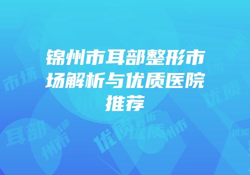 锦州市耳部整形市场解析与优质医院推荐