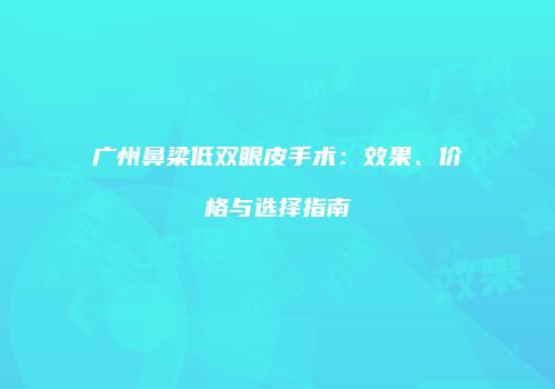 广州鼻梁低双眼皮手术：效果、价格与选择指南