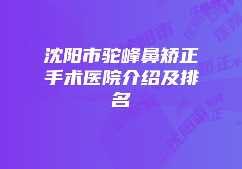 沈阳市驼峰鼻矫正手术医院介绍及排名