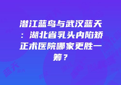 潜江蓝鸟与武汉蓝天：湖北省乳头内陷矫正术医院哪家更胜一筹？