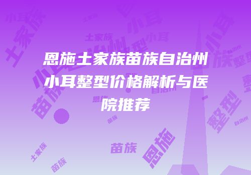 恩施土家族苗族自治州小耳整型价格解析与医院推荐