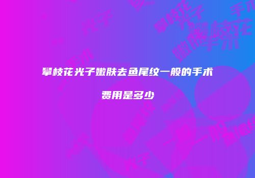 攀枝花光子嫩肤去鱼尾纹一般的手术费用是多少