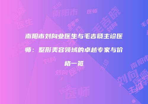 南阳市刘向业医生与毛吉晓主诊医师：整形美容领域的卓越专家与价格一览