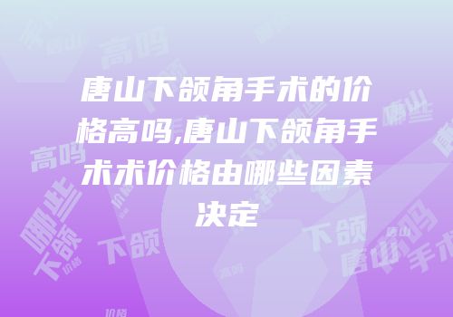 唐山下颌角手术的价格高吗,唐山下颌角手术术价格由哪些因素决定