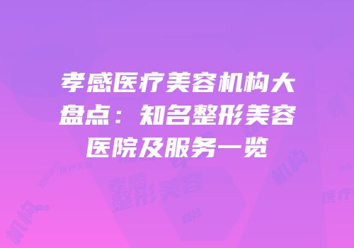 孝感医疗美容机构大盘点：知名整形美容医院及服务一览