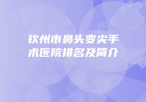 钦州市鼻头变尖手术医院排名及简介