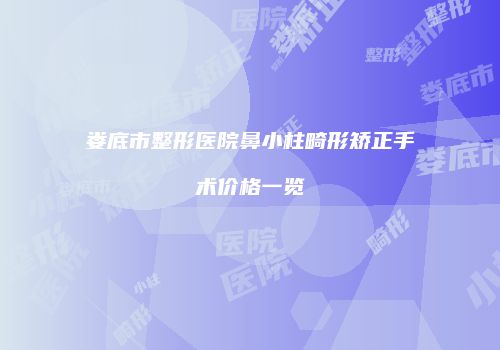 娄底市整形医院鼻小柱畸形矫正手术价格一览