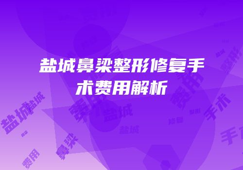 盐城鼻梁整形修复手术费用解析
