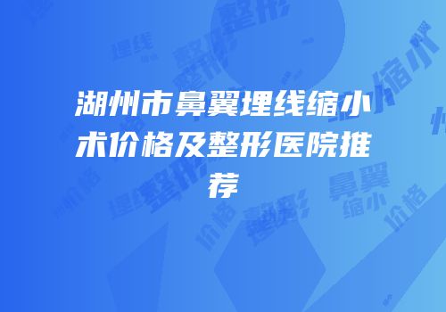 湖州市鼻翼埋线缩小术价格及整形医院推荐
