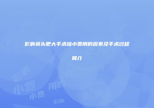 影响鼻头肥大手术缩小费用的因素及手术过程简介