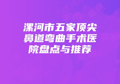 漯河市五家顶尖鼻道弯曲手术医院盘点与推荐