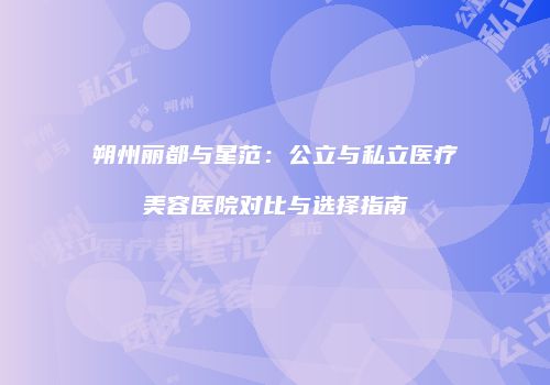 朔州丽都与星范：公立与私立医疗美容医院对比与选择指南