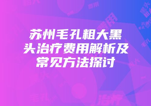苏州毛孔粗大黑头治疗费用解析及常见方法探讨