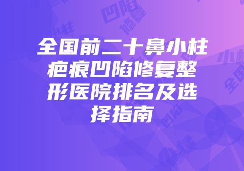 全国前二十鼻小柱疤痕凹陷修复整形医院排名及选择指南