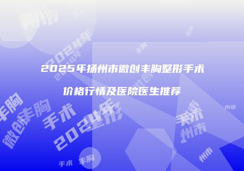 2025年扬州市微创丰胸整形手术价格行情及医院医生推荐