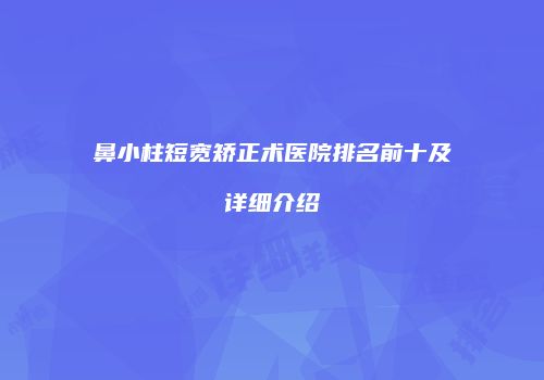 鼻小柱短宽矫正术医院排名前十及详细介绍