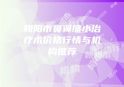 朝阳市鼻翼缩小治疗术价格行情与机构推荐