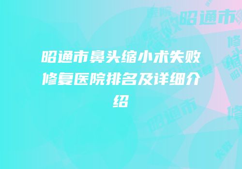 昭通市鼻头缩小术失败修复医院排名及详细介绍