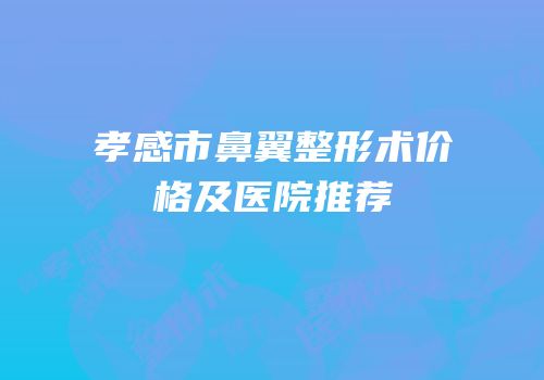 孝感市鼻翼整形术价格及医院推荐