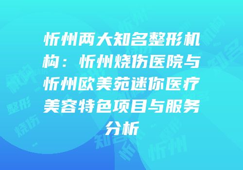 忻州两大知名整形机构：忻州烧伤医院与忻州欧美苑迷你医疗美容特色项目与服务分析