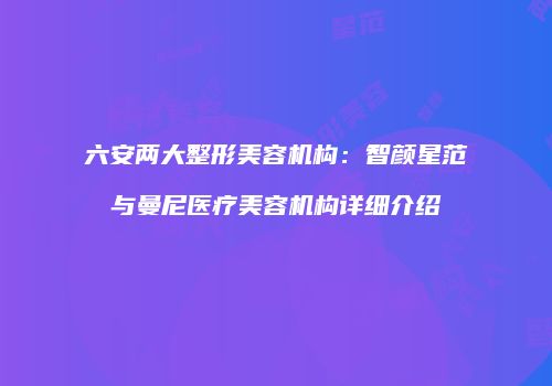 六安两大整形美容机构：智颜星范与曼尼医疗美容机构详细介绍